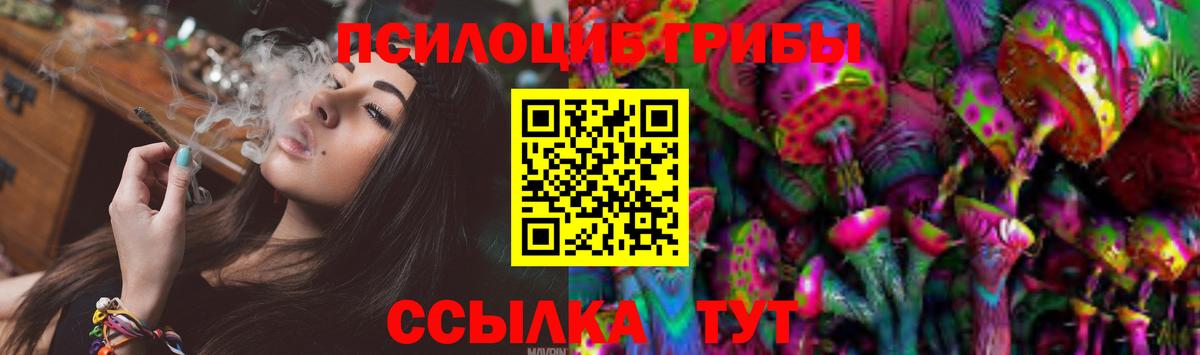 Галлюциногенные грибы прущие грибы  Вход с VPN  Славгород 